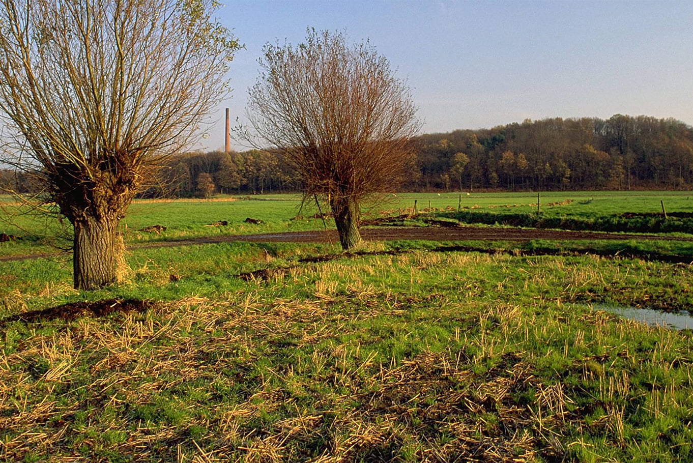 Gasterij-de-Kladde-Brabanste-Wal-1