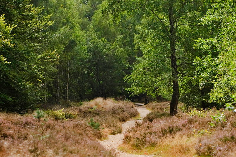 Gasterij-de-Kladde-Brabanste-Wal-2